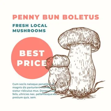 Penny Bun Boletus Abstract Vector Sign Template. Hand Drawn Mushrooms Stock Illustration