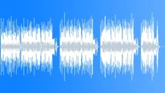 Penny Whistle Polka (60) Stock Music