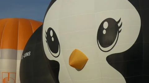 Penquin closeup balloon Vídeo Stock 54054877