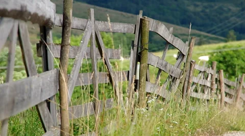 Pens for sheep Stock Footage 39734307