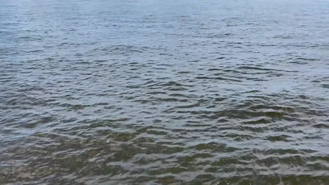 Pensacola Bay Video stock 157446180