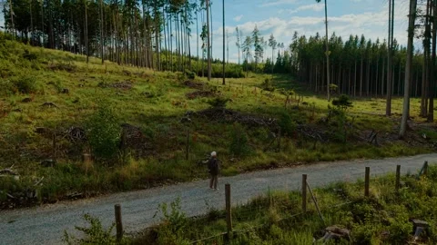 Pensioner walking along forest path looking disoriented with signs of dementia Stock Footage 319990889