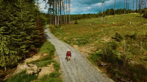 Pensioner walking along forest path enjoying sunny weather. Elderly woman Stock Footage 333183423