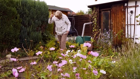 Pensioners in the allotment garden Stock Footage 120445053