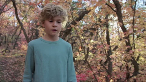 Pensive 8 year old boy slowly walks down forest mountain path at sunset Stock-Footage 194460564