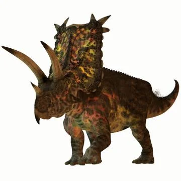 Pentaceratops on white Stock Illustration