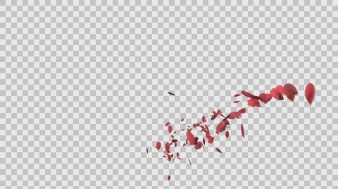 Pentals hearts Stock Footage 59870903