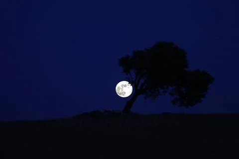 Penumbra eclipse of the Moon, Montemor O Novo, Portugal - 05 Jun 2020 Fotos Stock