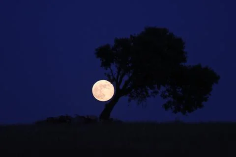 Penumbra eclipse of the Moon, Montemor O Novo, Portugal - 05 Jun 2020 Stock Photos