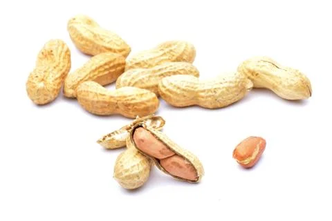 Penuts on a white background Stock Photos