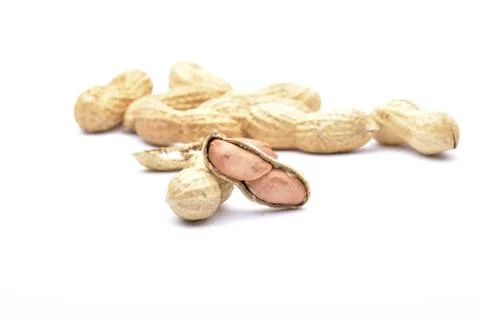 Penuts on a white background Stock Photos