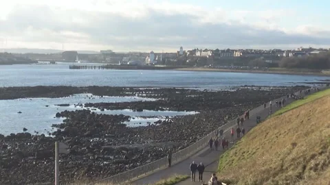 Peo[le on the beach Stock Footage 114709016