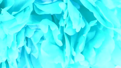 Peonie abstract blue background. Extrem close-up. Side view. Stock Footage 166802114