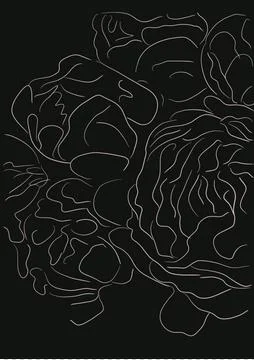 Peonies on the black background Stock Illustration