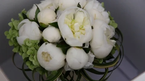 Peonies bouquet Stock Footage 101747290