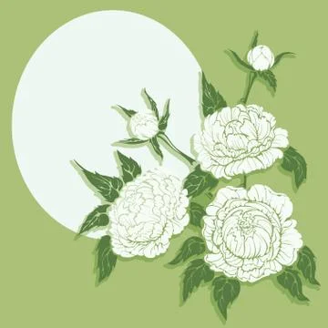 Peonies flower composition Stock Illustration