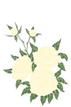 Peonies flower composition Stock Illustration