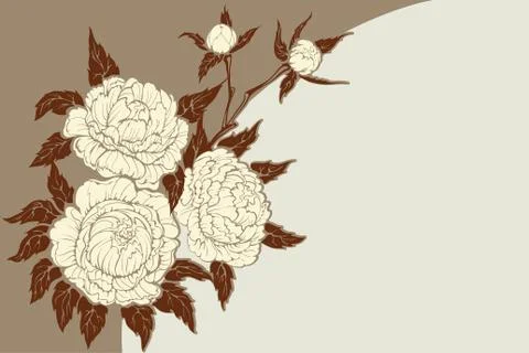 Peonies flower composition Stock Illustration