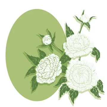 Peonies flower composition Stock Illustration