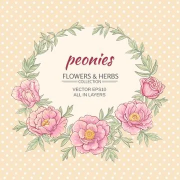 Peonies Stock Illustration