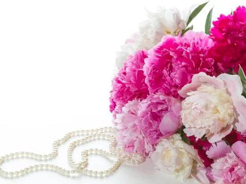 Peonies Stock Photos