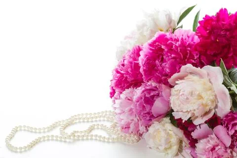 Peonies Stock Photos