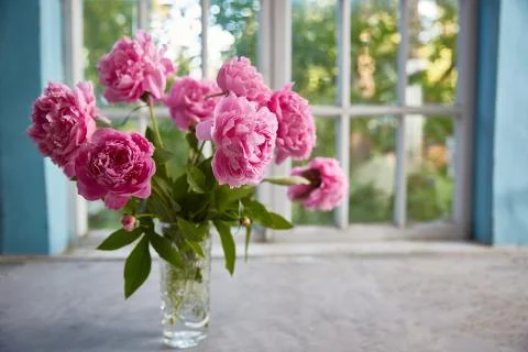 Peonies in a vase on the table against the background of the window. Stock Photos