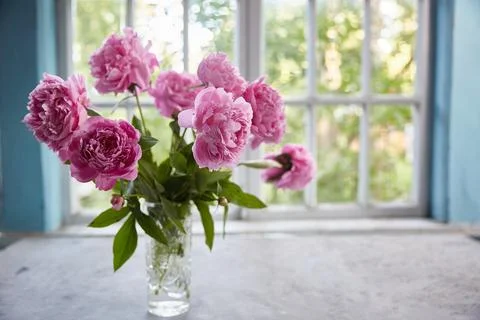 Peonies in a vase on the table against the background of the window. Stock Photos