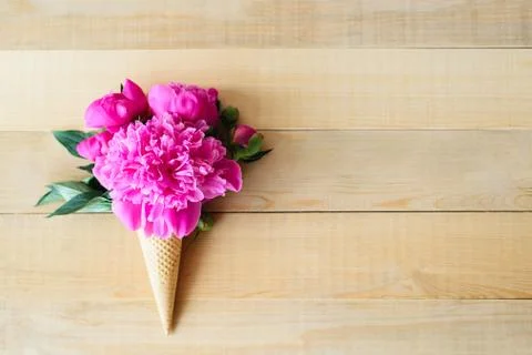 Peonies in waffle cone Stock Photos