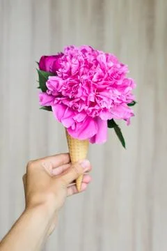 Peonies in waffle cone Stock Photos