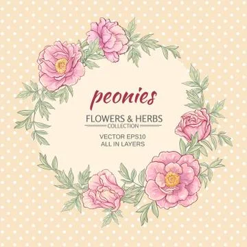 Peonies_frame Stock Illustration