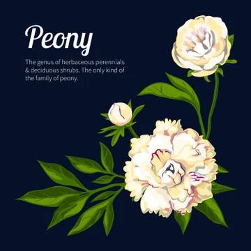 Peons, isolated on a black background. Stock Illustration