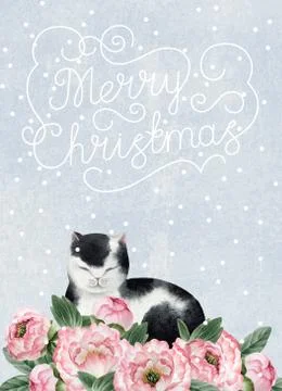 Peony and cat postcard Stock Illustration