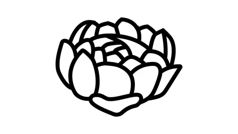 Peony blossom spring line icon animation Stock Footage 326135396