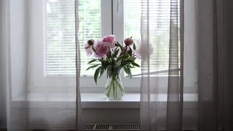 Peony bouquet on bright windowsill Stock Footage 336502642