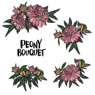 Peony bouquets Stock Illustration