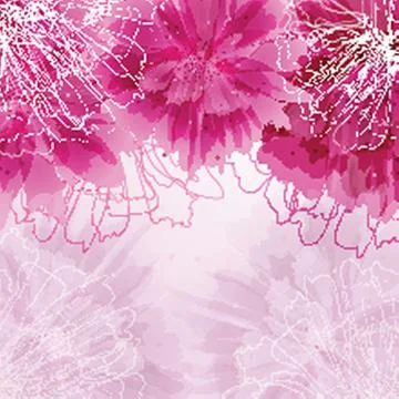 Peony flower Stock-Illustration