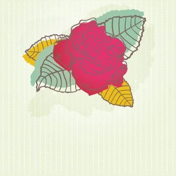 Peony flower Stock-Illustration