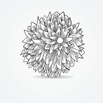 Peony flower Stock Illustration