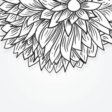 Peony flower Stock Illustration