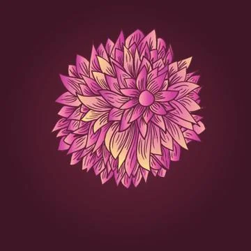 Peony flower Stock Illustration