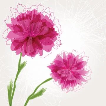 Peony flower Stock-Illustration