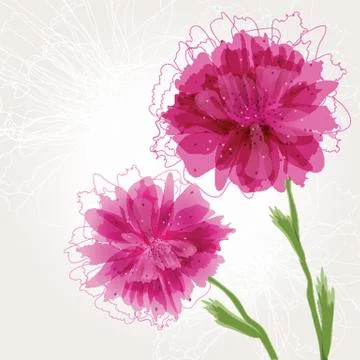 Peony flower Stock-Illustration