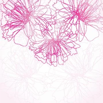Peony flower Stock Illustration