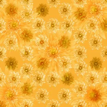 Peony flower pattern Stock Illustration