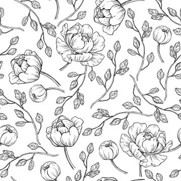 Peony flower seamless pattern drawing. Vector hand drawn engrave Stock Illustration