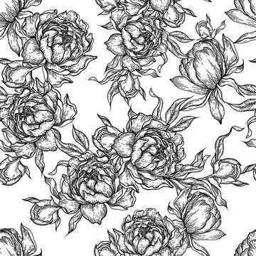 Peony flower seamless pattern drawing. Stock Illustration