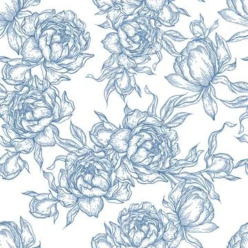 Peony flower seamless pattern drawing. Illustrazione stock