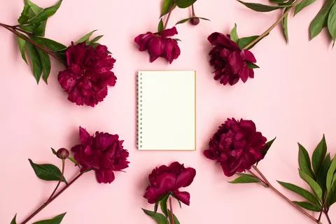 Peony flowers and Empty notebook for planning or wishing Stock Photos