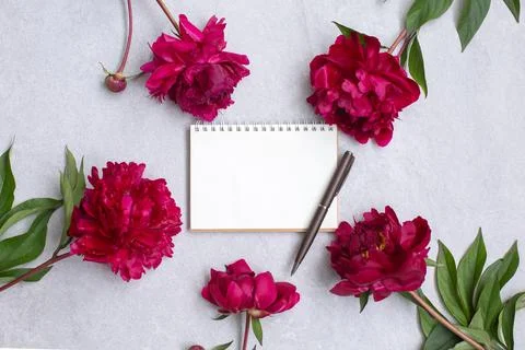 Peony flowers and Empty notebook for planning or wishing Stock Photos